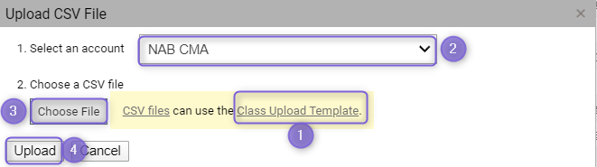 mceclip1.png